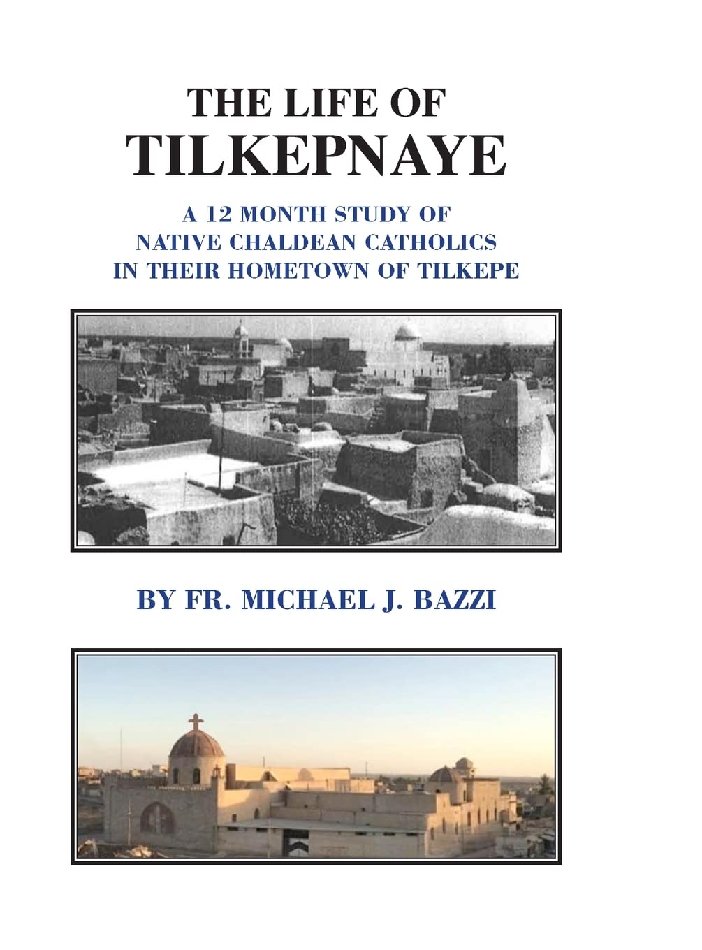 The Life of Tilkepnaye book cover